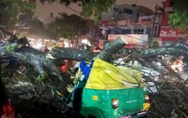 Bengaluru Pre-Monsoon Showers Begin; Auto Driver Killed in Tree Fall