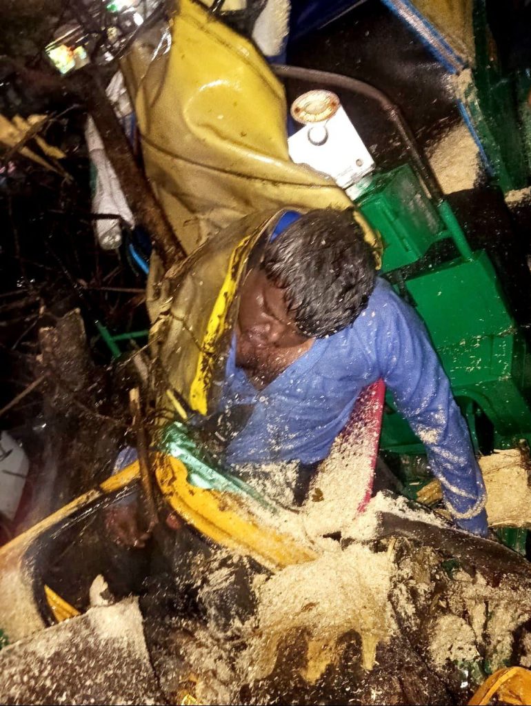 Rainfall Turns Fatal in Bengaluru; Mahesh, 45, Killed in Tree Collapse