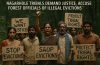 ‘We Are Not Encroachers’: Adivasis Push Back Against Anti-Tribal Forest Policy